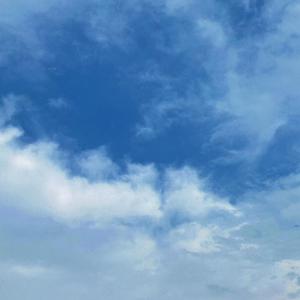 女人张开腿插插
